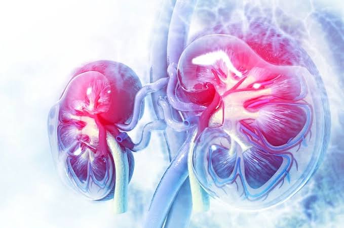 Reconstructive urology and uro-oncology